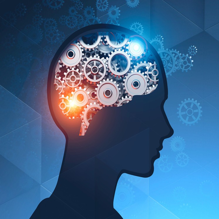 Marine collagen - Memory and concentration - Omega-3 DHA Plant-based